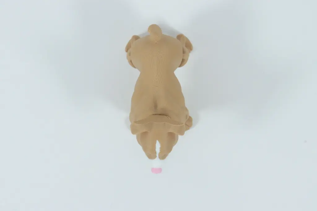 IMG_0042.webp