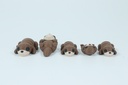 Otter Family Mini Set