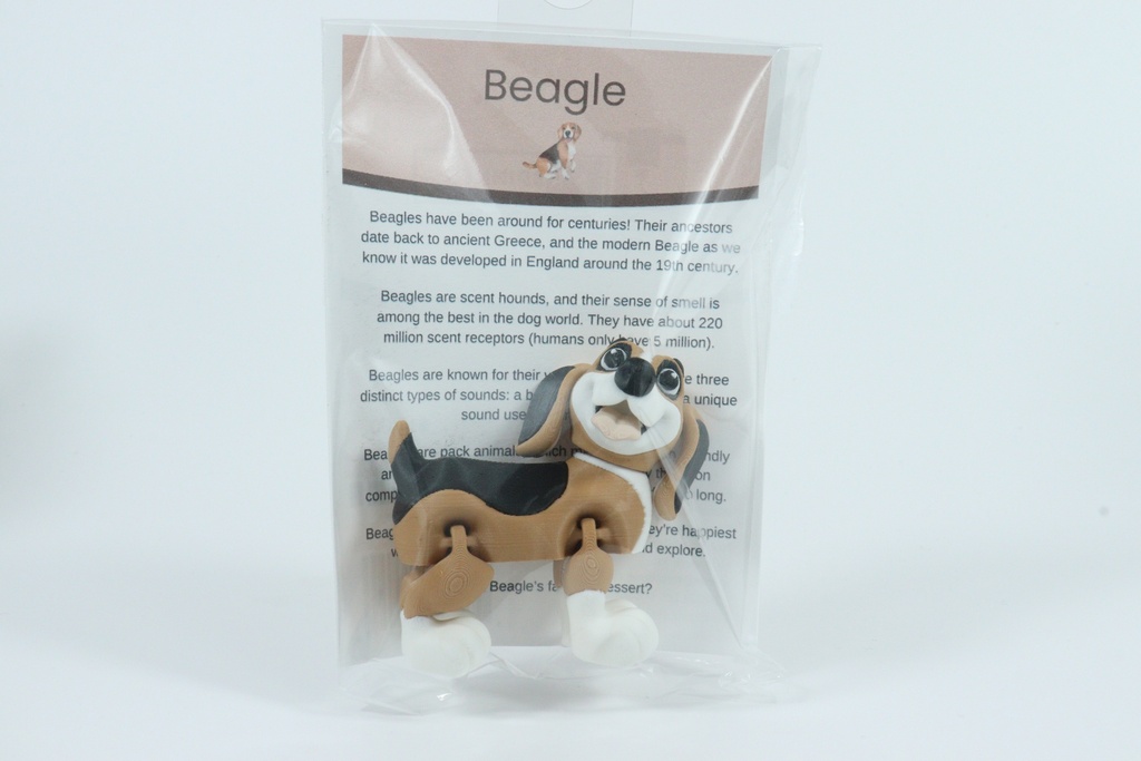 Beagle