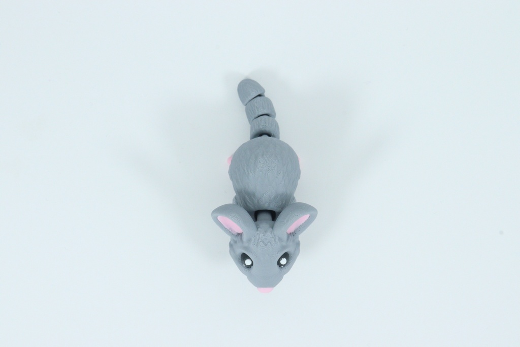 Mouse