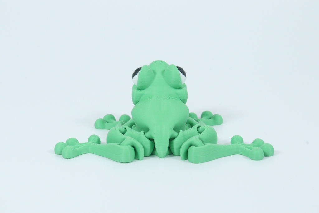 Flexi Frog