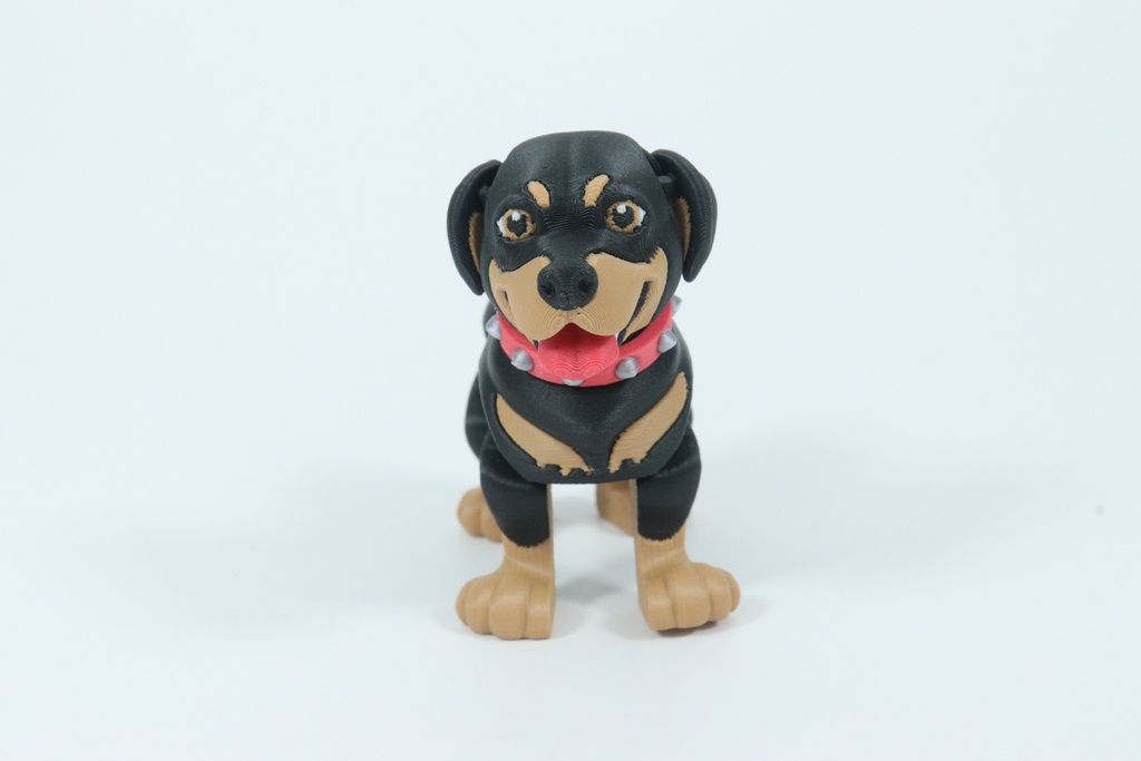 Rottweiler