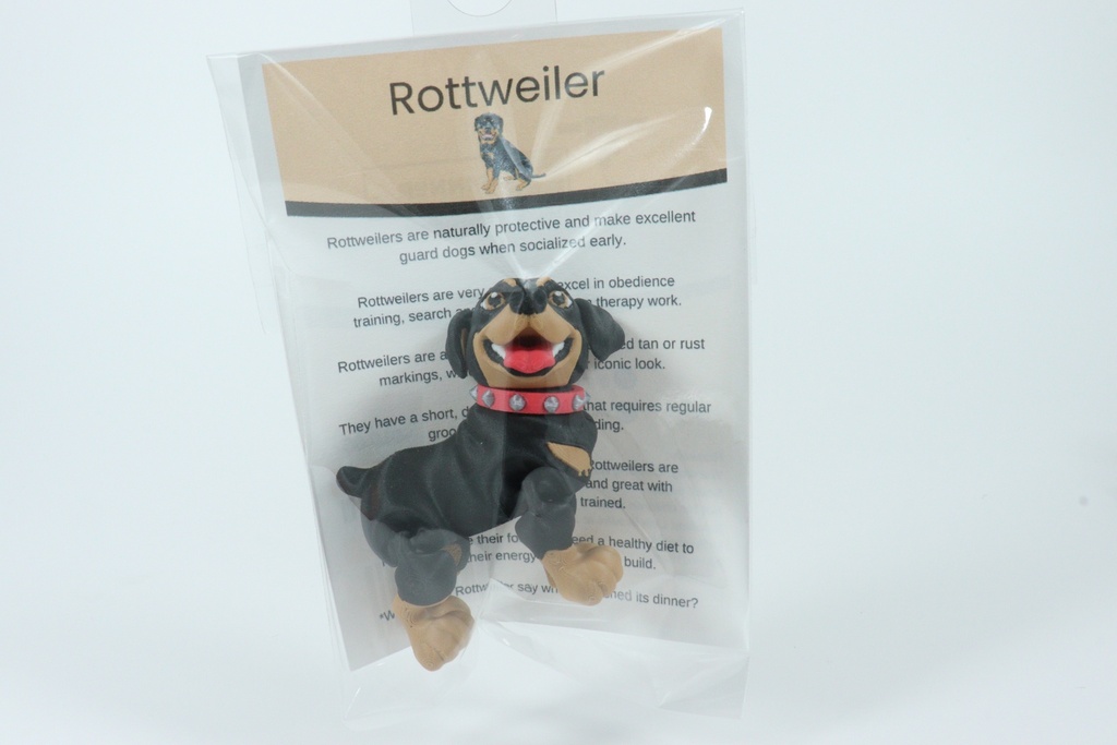 Rottweiler