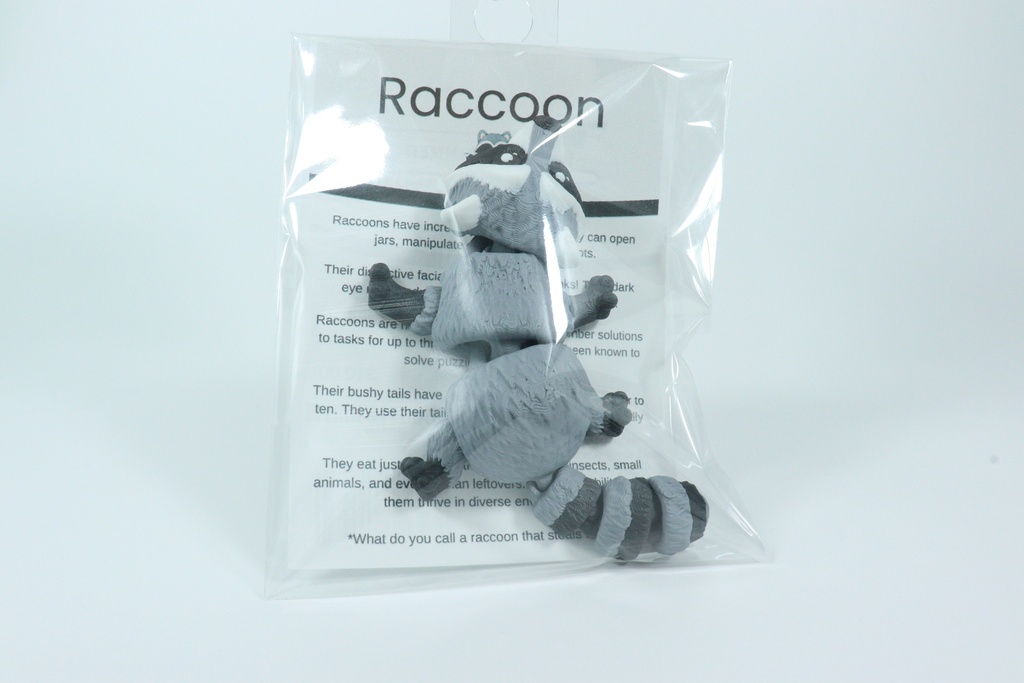 Raccoon