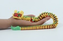 2025 Chinese New Year Snake Dragon