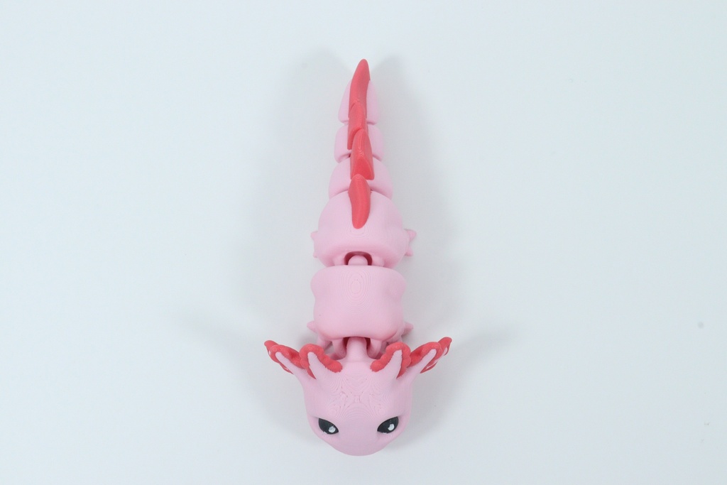 Axolotl