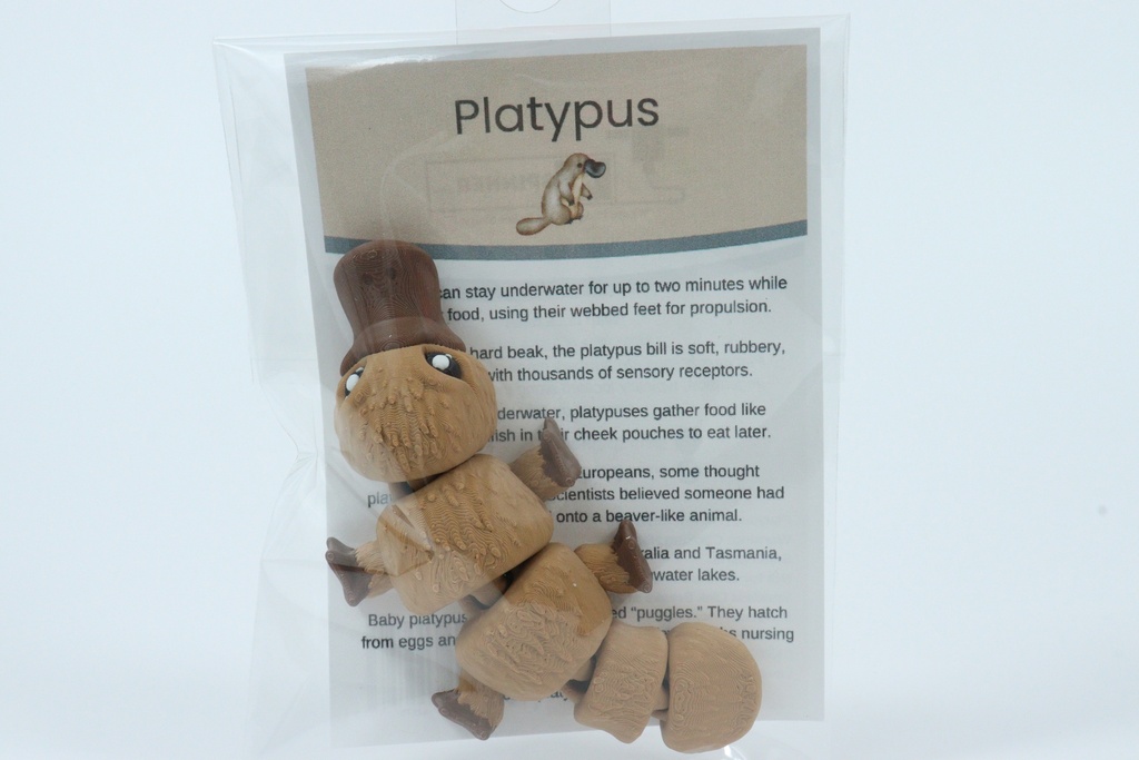 Platypus