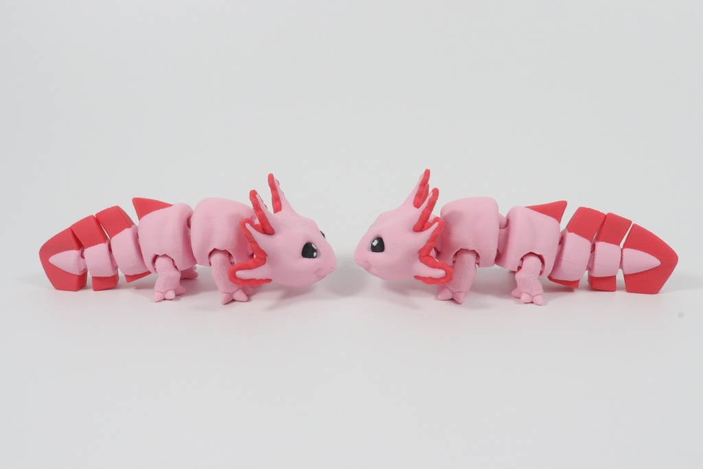 Axolotl