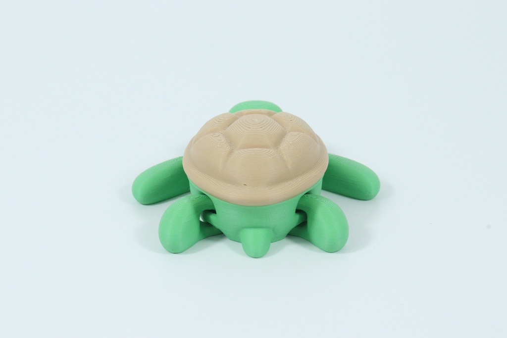 Turtle