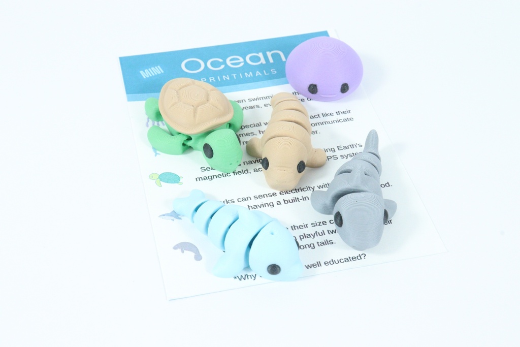 Ocean Mini Set