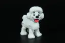 Paw Print Pups - Poodle