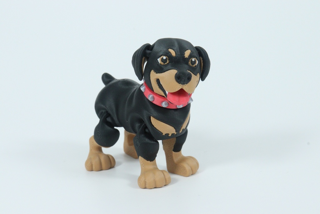 Rottweiler