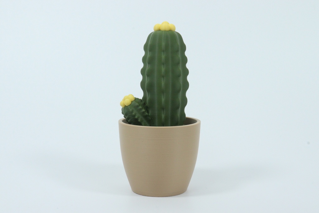 Succulents (Style 1)