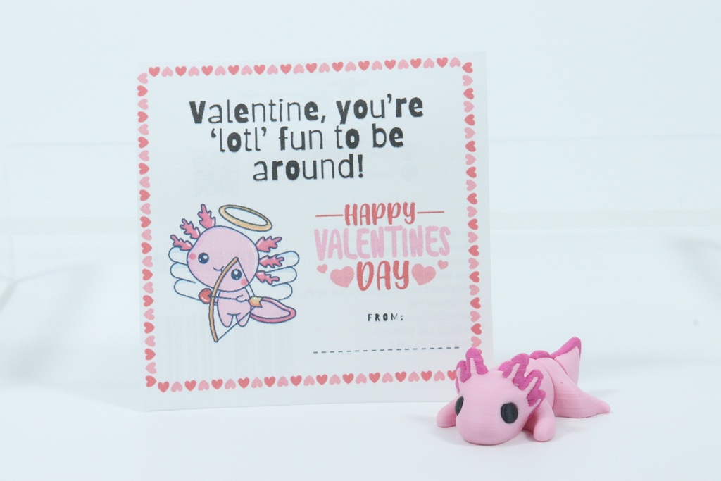 Adventure Minis Valentine's