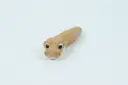 Fidget Friends - Ball Python