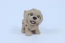 Paw Print Pups - Goldendoodle