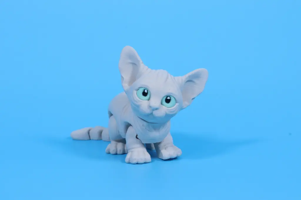 Paw Print Pups - Sphynx Cat