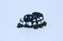 Fidget Friends - Jumping Spider