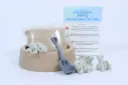 Adventure Minis - Dino Dig