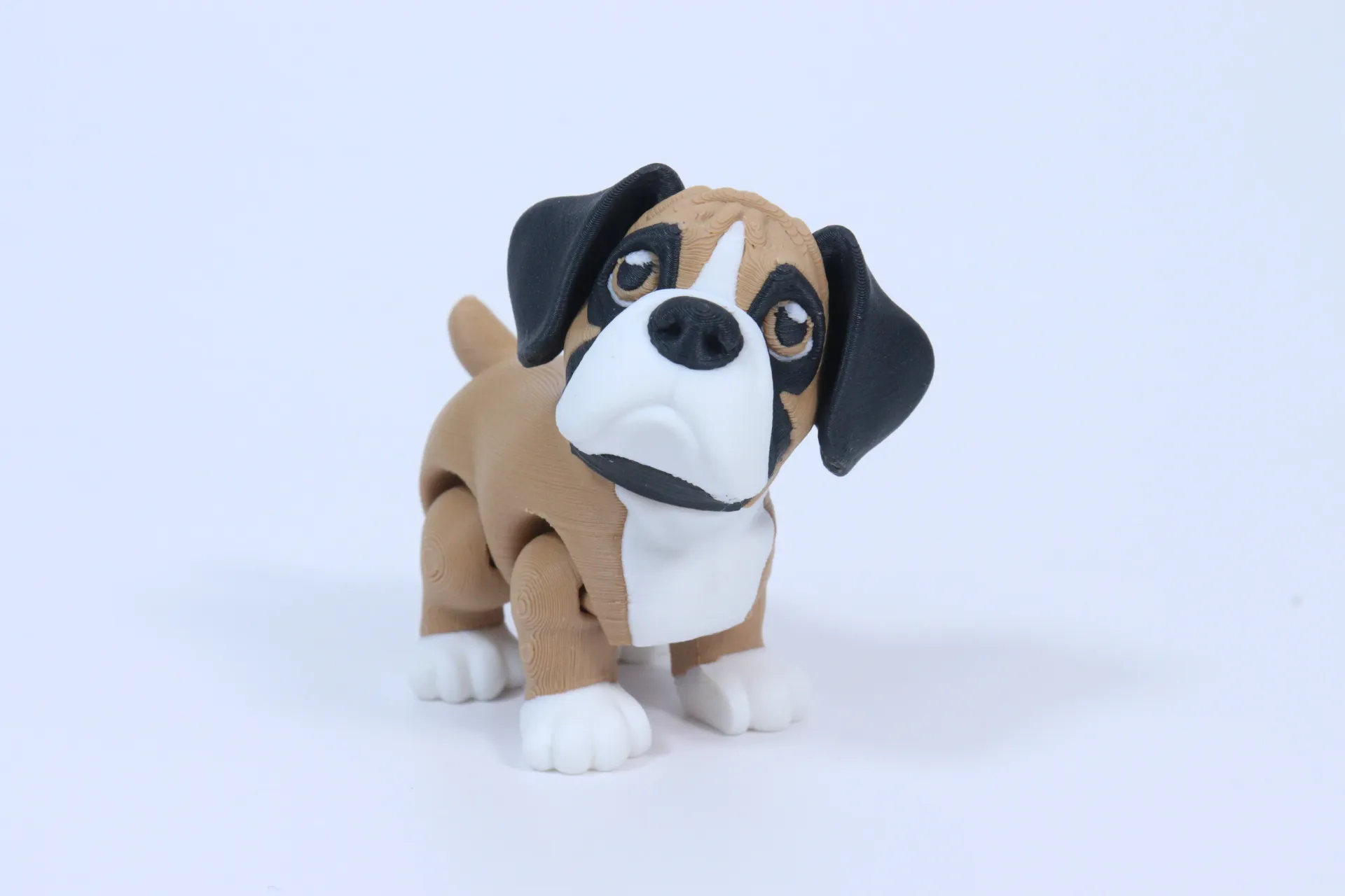 Paw Print Pups - Boxer