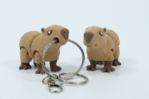 Fidget Friends - Capybara