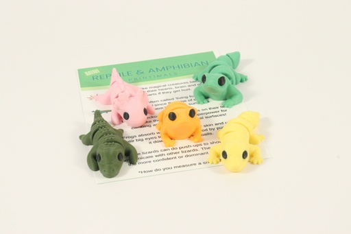 Reptile & Amphibian Mini Set